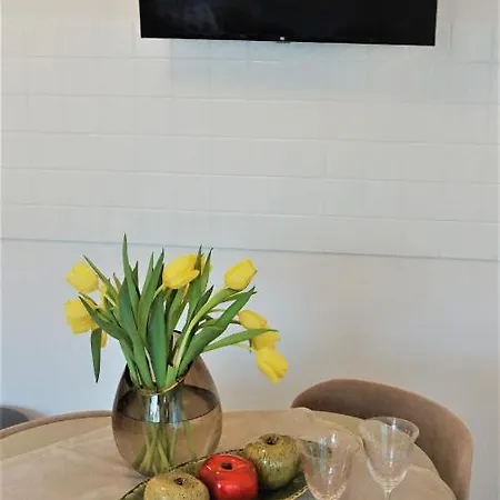 Apartament Krajowej *